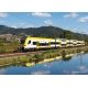 Siemens Desiro HC Class 1462/1862 4-Car Train - Sound and DCC -- German Railroad DBAG (Era VI 2020, white, yellow, black), HO, T