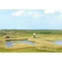 Thinning Grass Pad - 11-11/16 x 8-1/4′ 29.7 x 21cm -- Grass & Reed Marsh/Pond Shoreline, HO, Busch Gmbh & Co Kg 1312