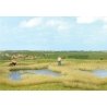 Thinning Grass Pad - 11-11/16 x 8-1/4′ 29.7 x 21cm -- Grass & Reed Marsh/Pond Shoreline, HO, Busch Gmbh & Co Kg 1312