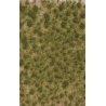 Grass Tuft Sheet -- 2-Color Long Spring Tufts 1/4` .6cm Tall, 5-7/16 x 3-7/16` 13.8 x 8.8cm, ALL, Busch Gmbh & Co Kg 3536