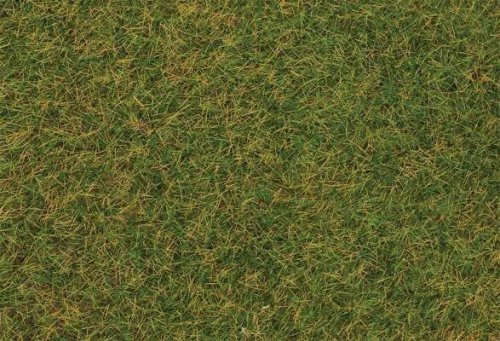 Static Wild Grass 3/16′ 4mm Fibers 1.1oz 30g -- Early Summer Lawn, ALL, Faller Gmbh 170206