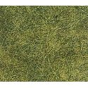Wild Grass Material -- Spring Green, HO, Busch Gmbh & Co Kg 7371
