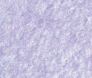 Mortar - 17-1/2oz 496g -- Rocks (Gray), ALL, Busch Gmbh & Co Kg 7590