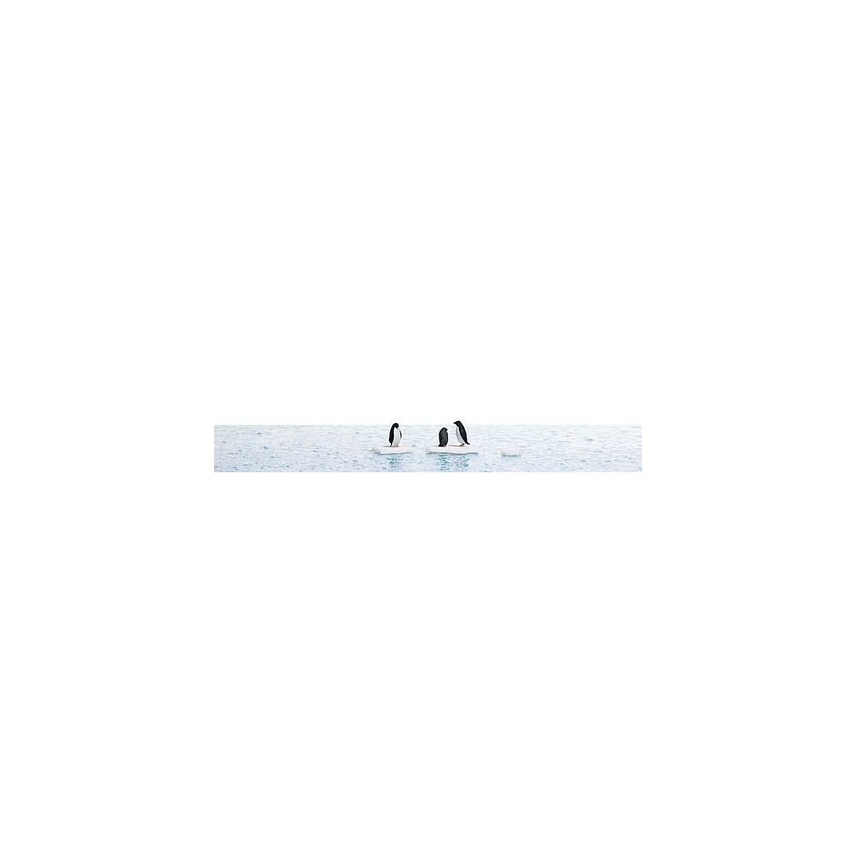 Penguins on Ice Flows Complete Miniature Scene -- 3 Penguins, 3 Icebergs, & 8-1/4 x 5-13/16′ 21 x 14.8cm Water Sheet, HO, Busc