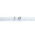 Penguins on Ice Flows Complete Miniature Scene -- 3 Penguins, 3 Icebergs, & 8-1/4 x 5-13/16′ 21 x 14.8cm Water Sheet, HO, Busc