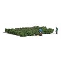 Picking Forest Blueberries - Action Set -- 2 Figures, 2-3/4 x 2-1/4′ 8 x 7cm Blueberry Patch, Collection Baskets, HO, Busch G