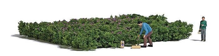 Picking Forest Blueberries - Action Set -- 2 Figures, 2-3/4 x 2-1/4′ 8 x 7cm Blueberry Patch, Collection Baskets, HO, Busch G