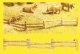 Uneven Field Fence - Kit -- 12 Pieces, Total Length: 26′ 66cm, N, Noch Gmbh & Co 33030