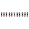 Flex Track Code 250 -- 36′ Long, G, Peco SL900