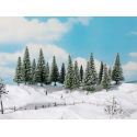 Snowy Fir Trees -- Schneetannen -- 8 pcs - HO TT - Noch 24680