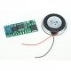 Little Sounds Module with 19/32 x 15/16′ 15 x 24mm Speaker -- Industrial Sounds, ALL, Ngineering N8301044